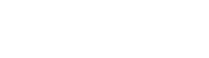 Zizi Horsedesign